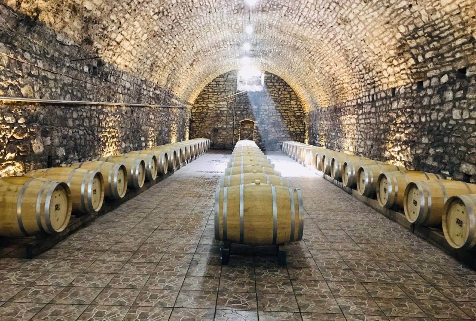 Explore the Rich Flavors of Goygol Winery: A Premier Wine Destination in Azerbaijan