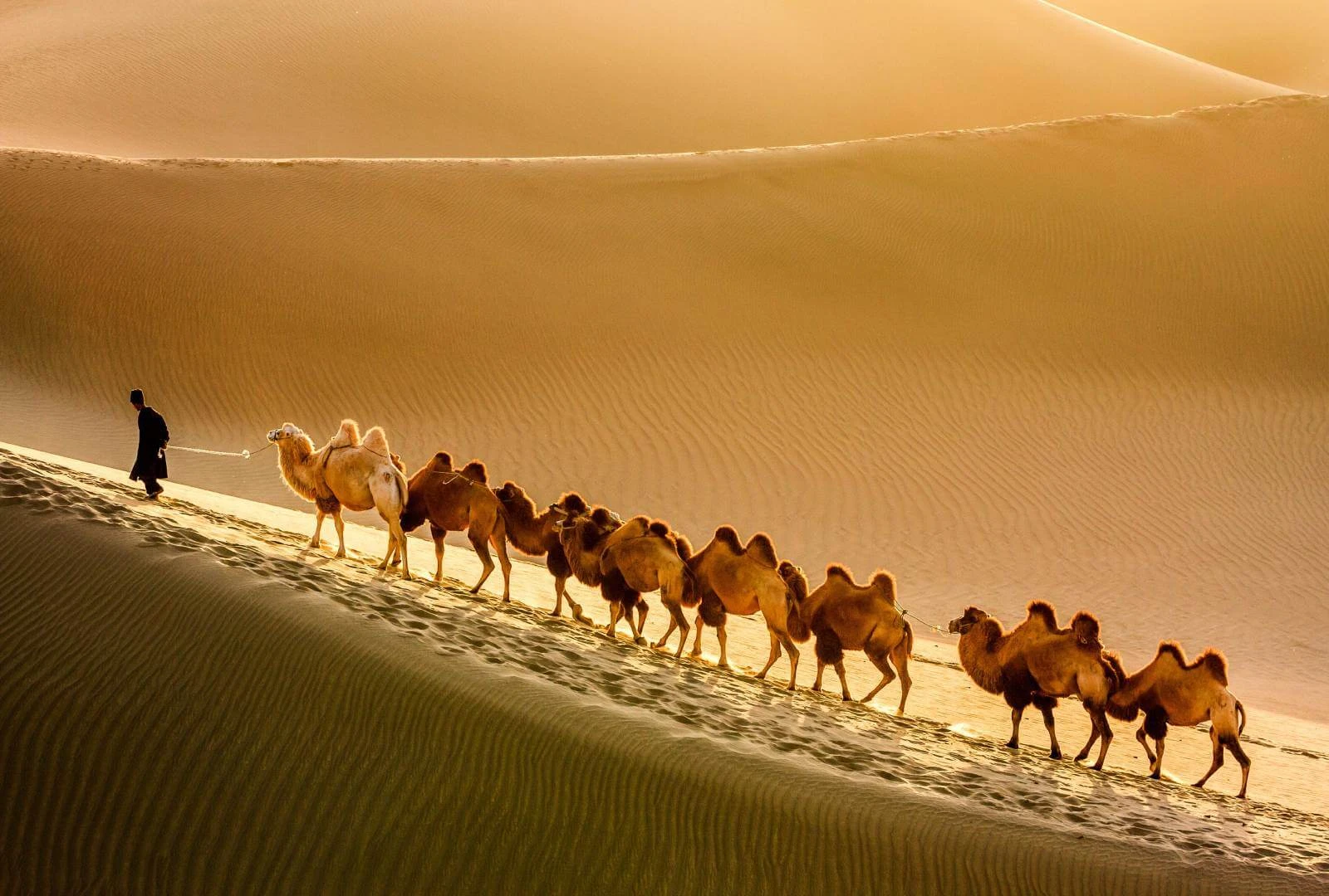 Silk Road in Azerbaijan: Key Directions and Historical Significance