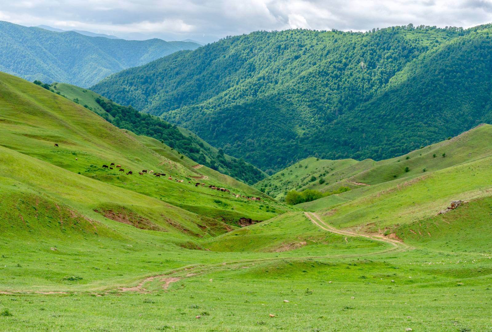 Exploring Gadabay's history : A Hub of Potato Cultivation and Historic Copper Mining