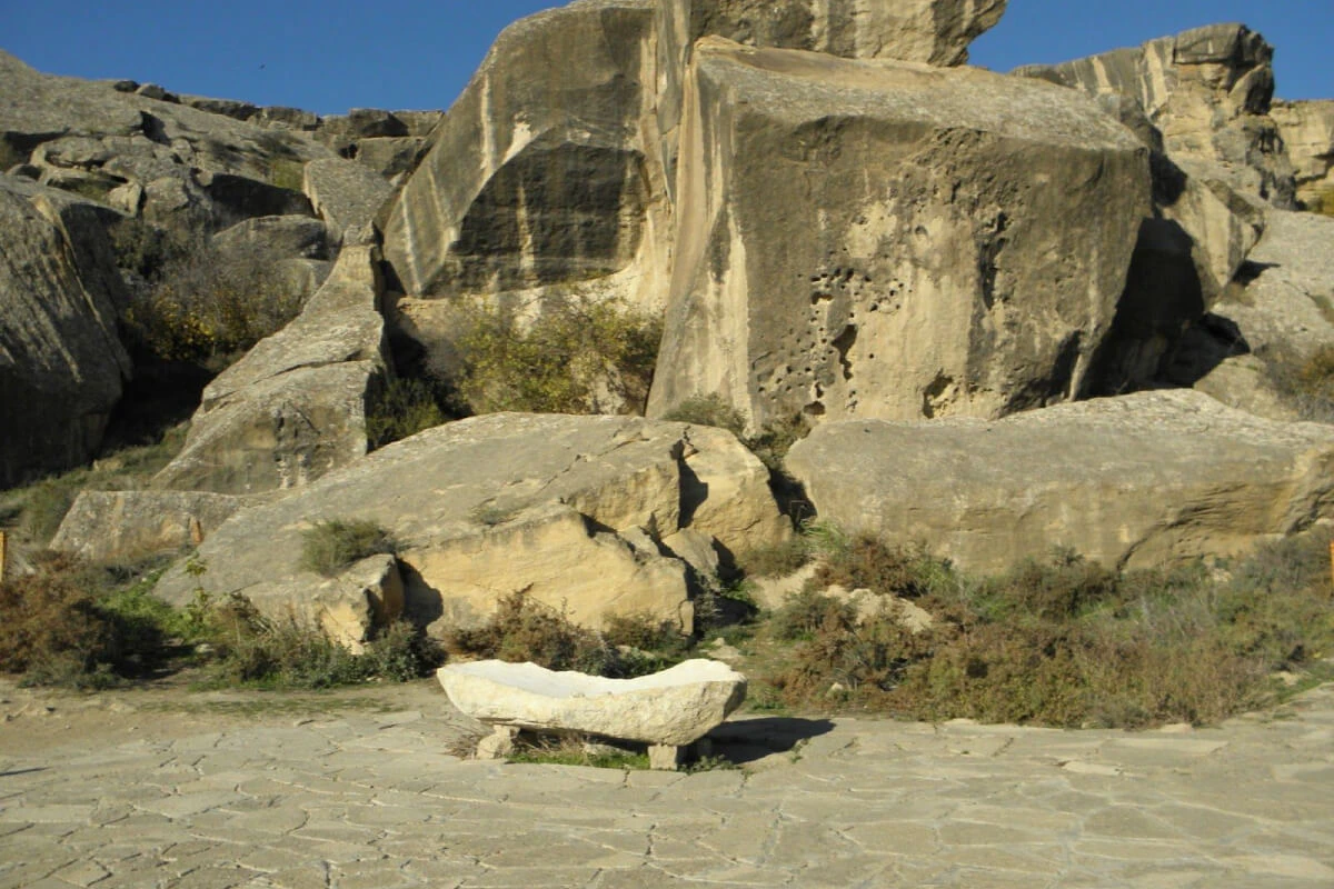 Image Description