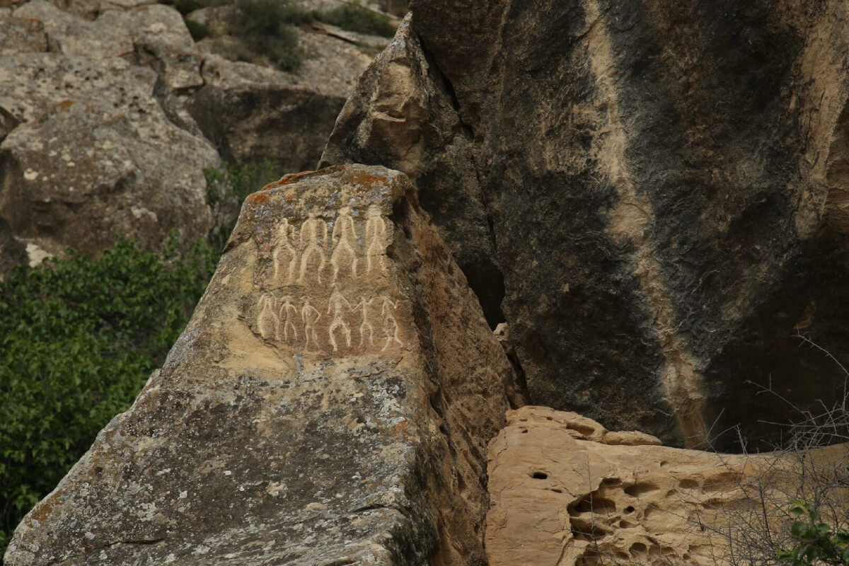 Image Description
